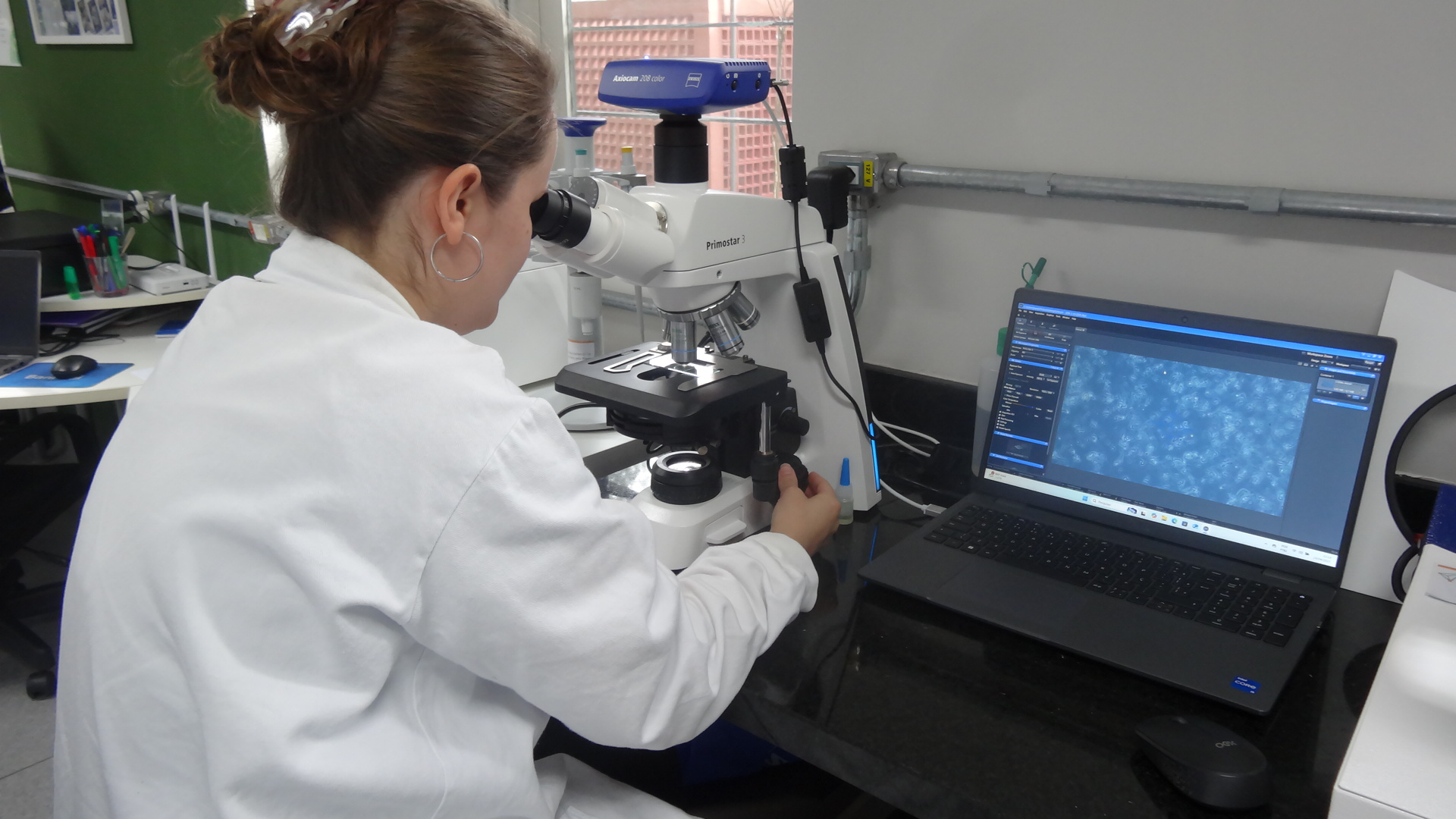Microscopio